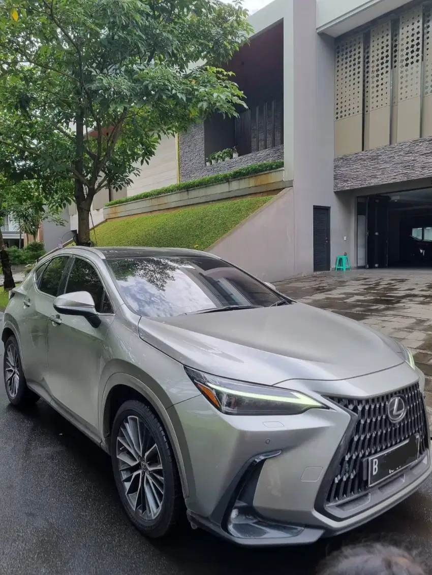 Lexus NX250 Luxury 2022 sonic titanium NX 250 2023 NX350H hazel NX 350