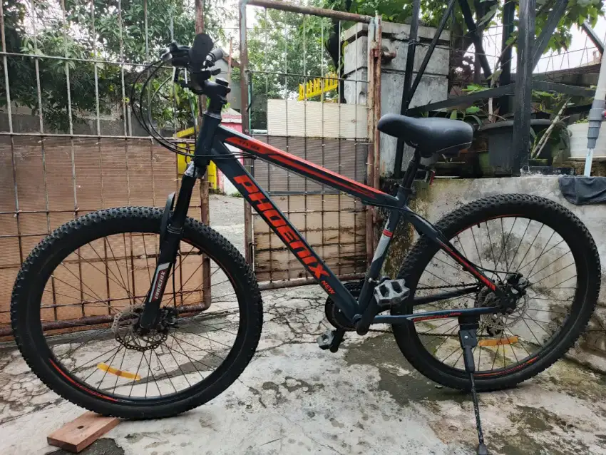 MTB New Phoenix 171mx