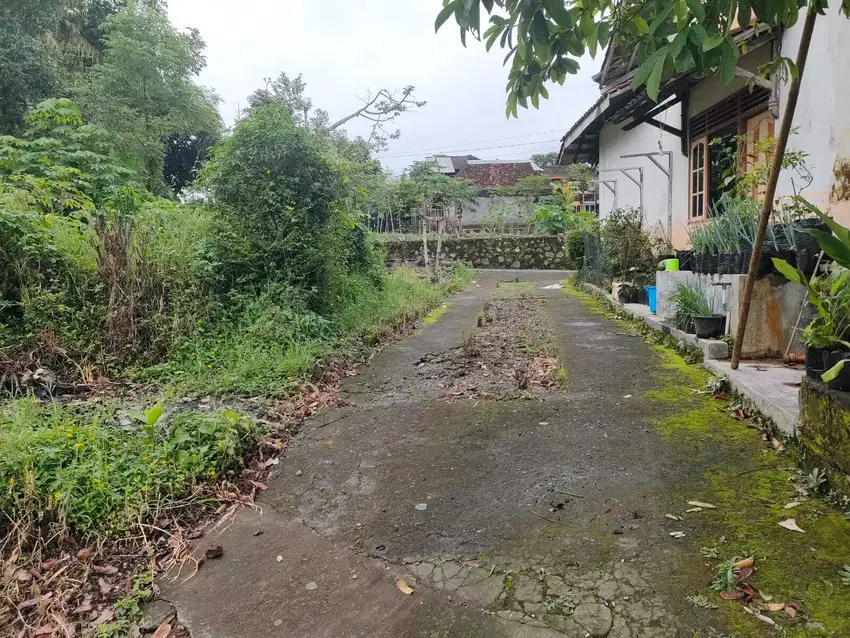 tanah luas 123m2 di grhasia pakem jl kaliurang km16  atau utara SMPN 4
