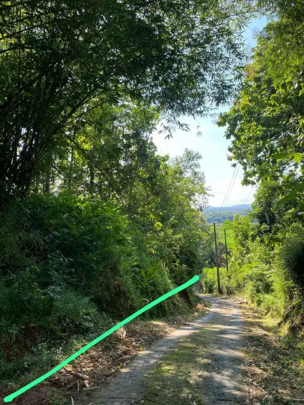 Tanah View sawah dan pegunungan menoreh dekat resto dan fasum