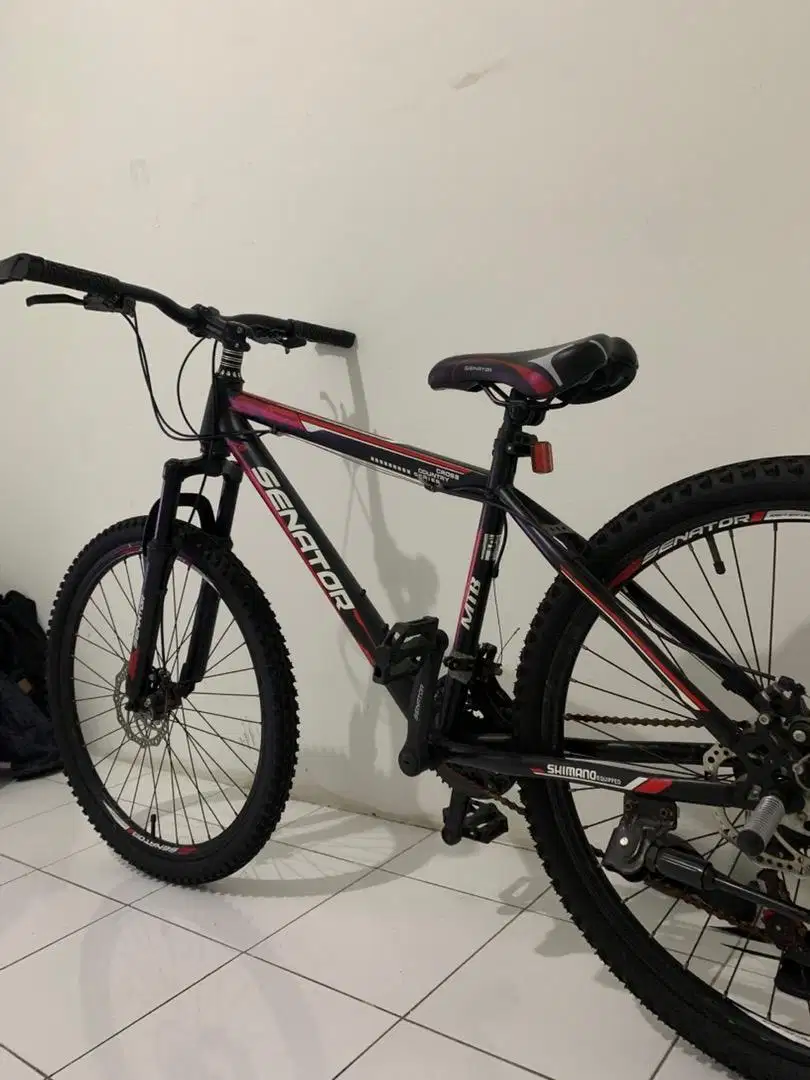 Sepeda Mtb senator cross country series
