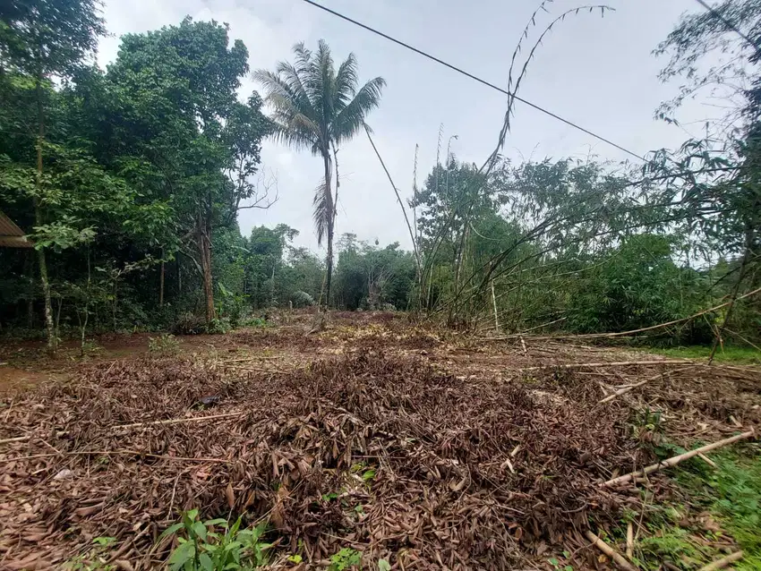 Kavling Area setu, Free Fasum jalan 50 Meter. Bisa Cicil 12X Buga 0%
