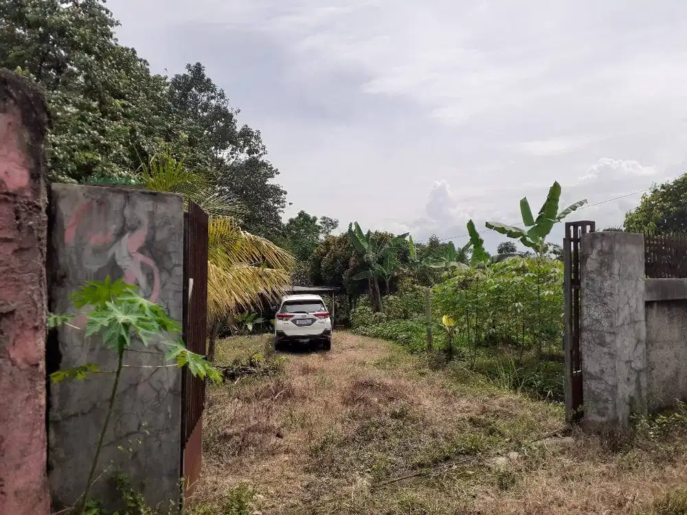 Dijual Tanah Kebun