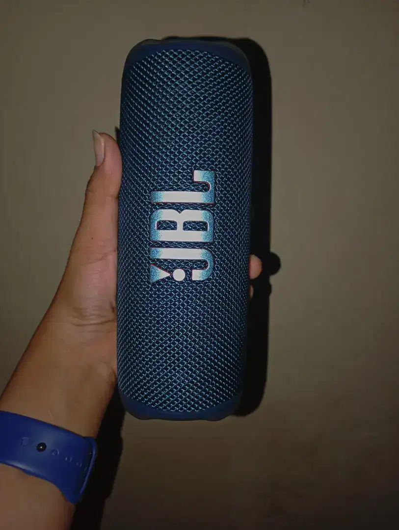Speaker jbl flip 6