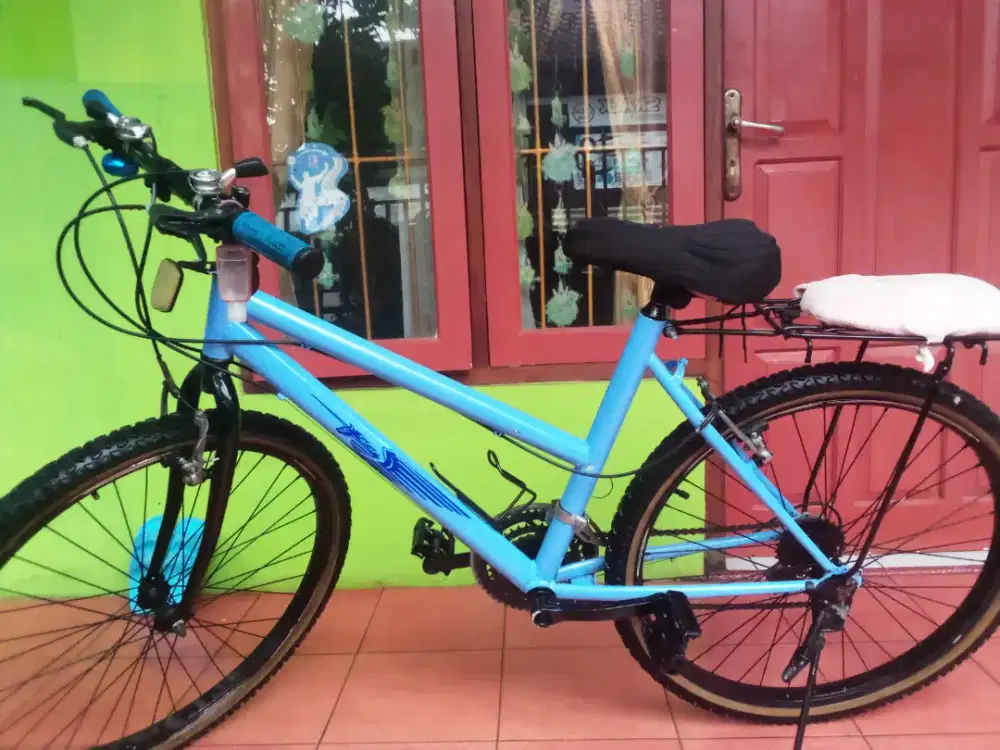 Sepeda kayuh biru