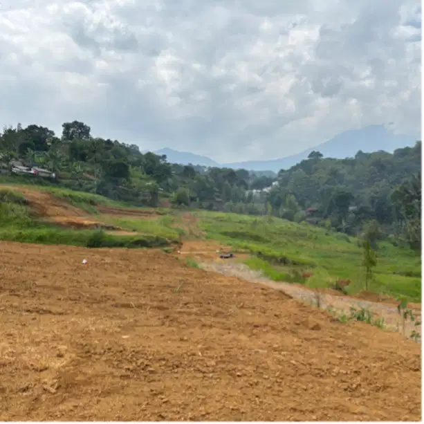 Tanah murah private cisarua puncak bogor