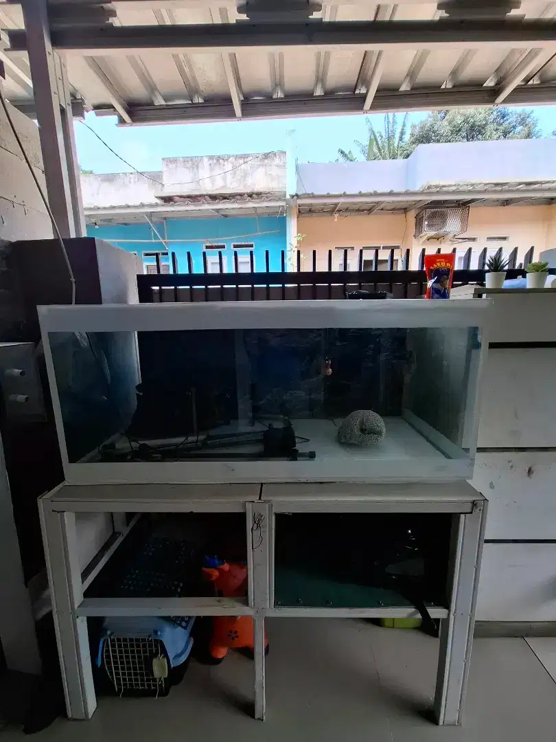 AQUARIUM ikan Hias