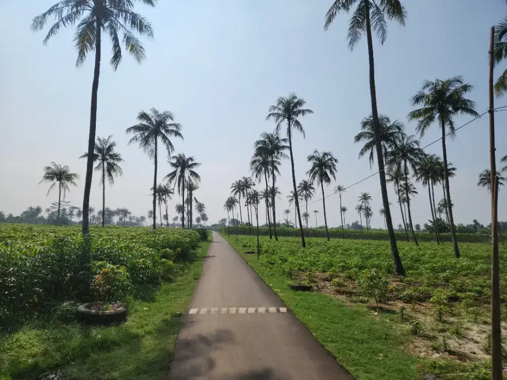 Jual lahan startegis bangun property, pabrik atau kawasan pergudangan