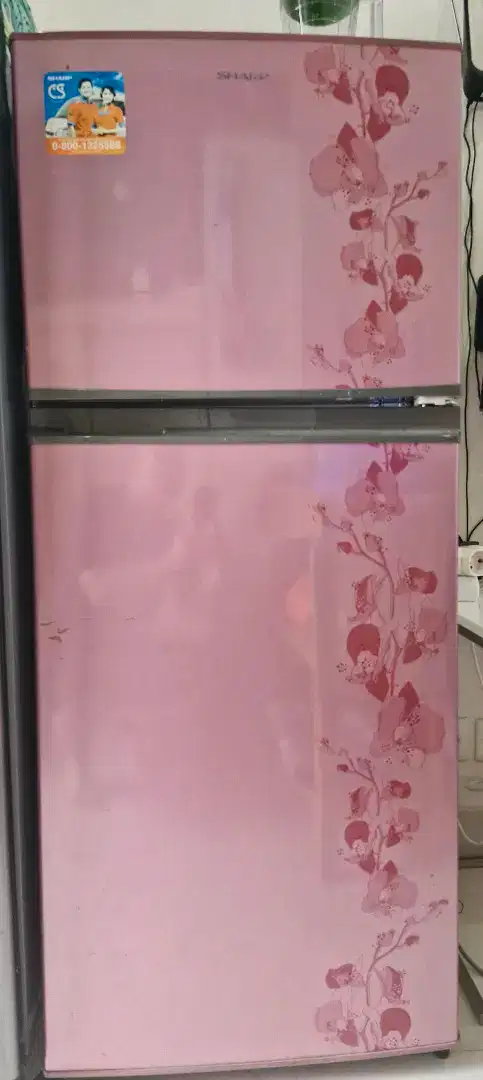 Kulkas Sharp 2 Pintu