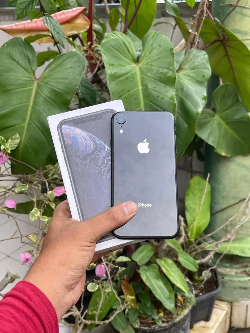 Iphone xr 256GB
