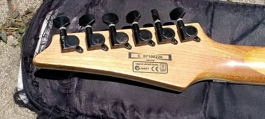 Gitar Ibanez Custom