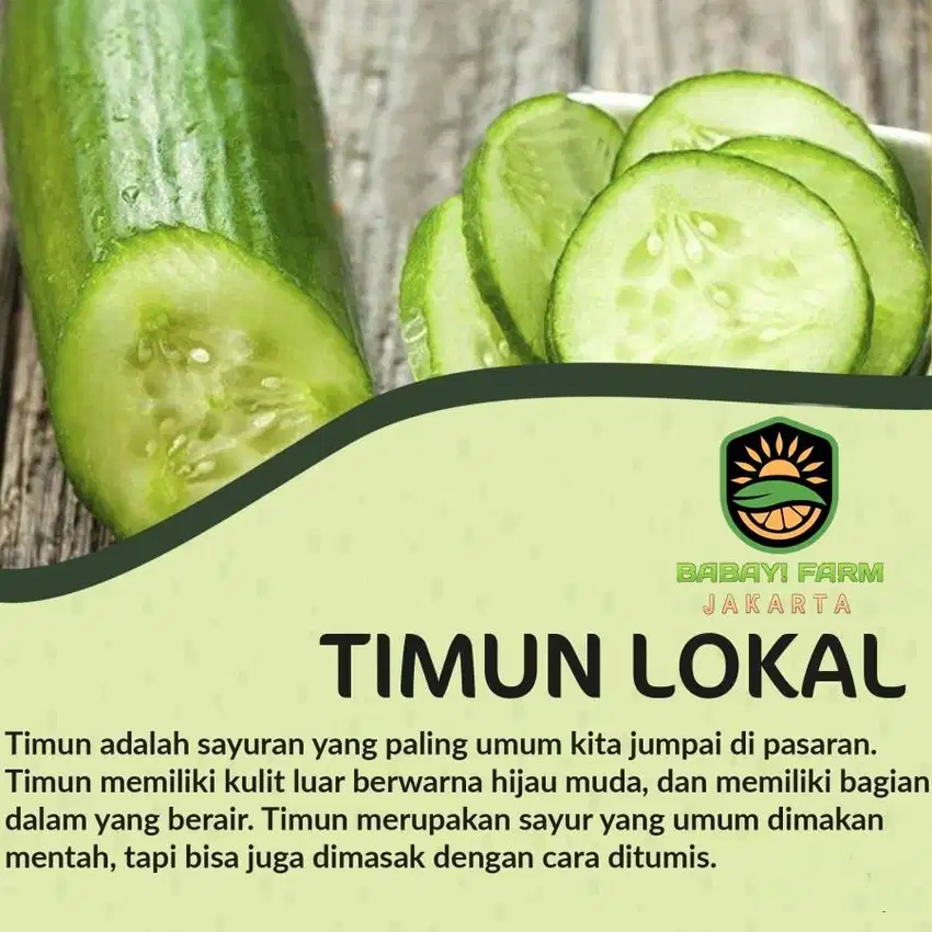 Timun Lokal Lalap / Mentimun Acar 250 500 gr 1 kg