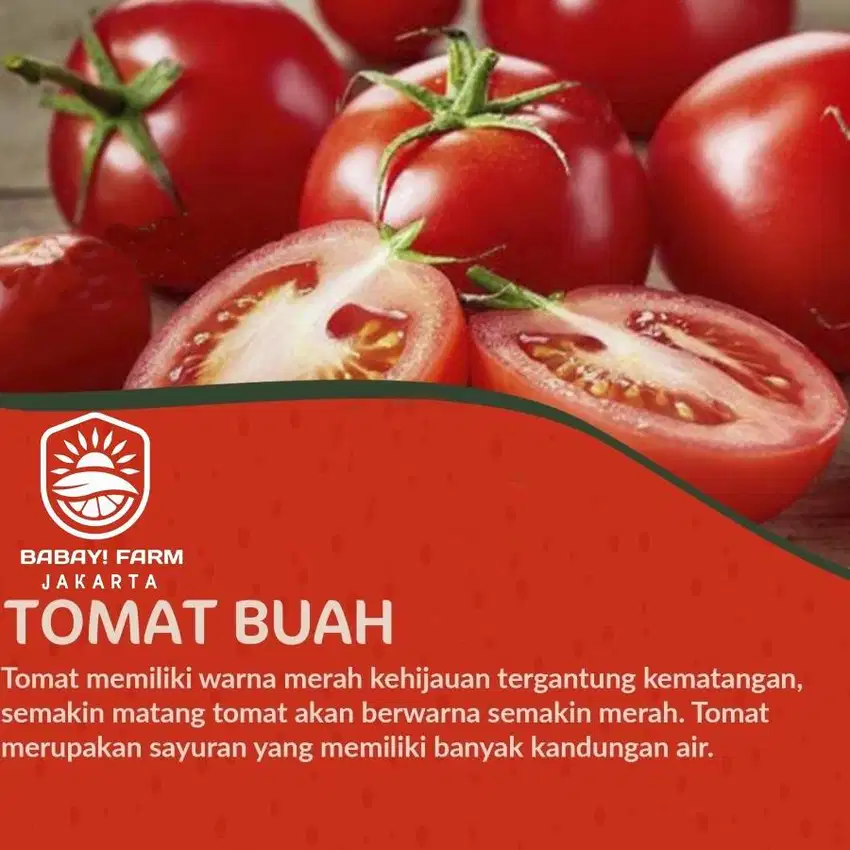 Buah Tomat / Red Tomato 250 500 gr / 1 kg
