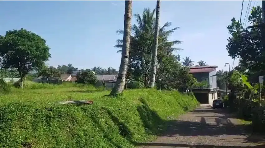 Di jual sebidang Tanah di bogor