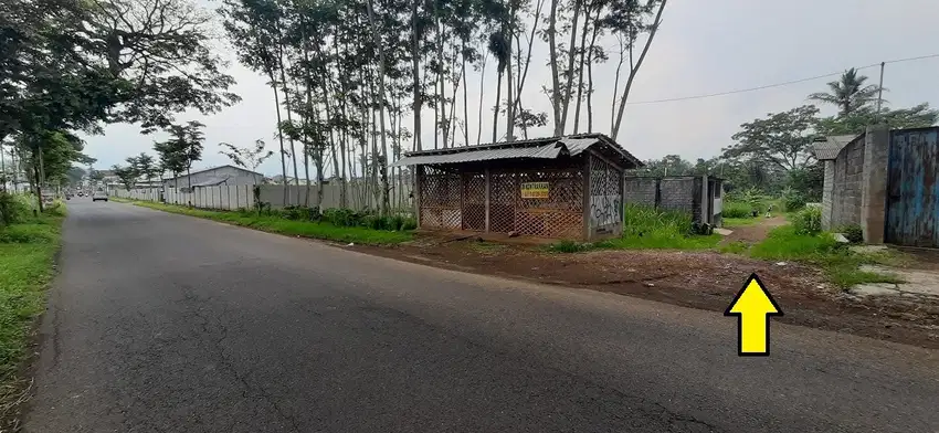 Tanah SHM Pakisjajar Pakis Malang Jual Cpt B.U Poll 100 m dari Jl.