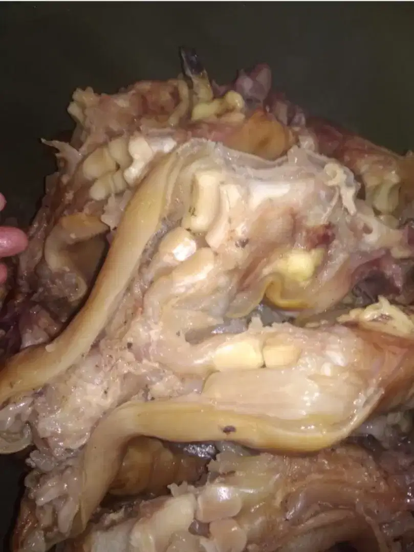 Kaki sapi lokal sudab difillet ( tunjang) cocok untuk semua olahan