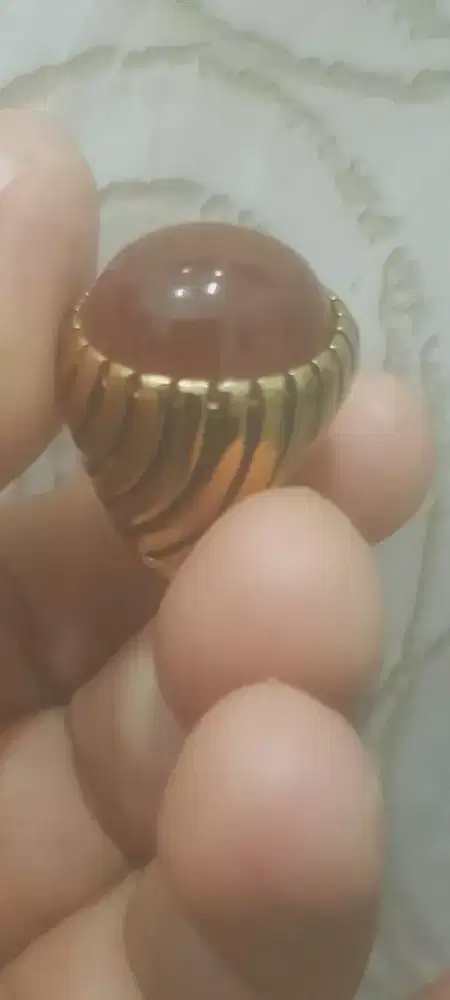 Pandan sisik betik warna