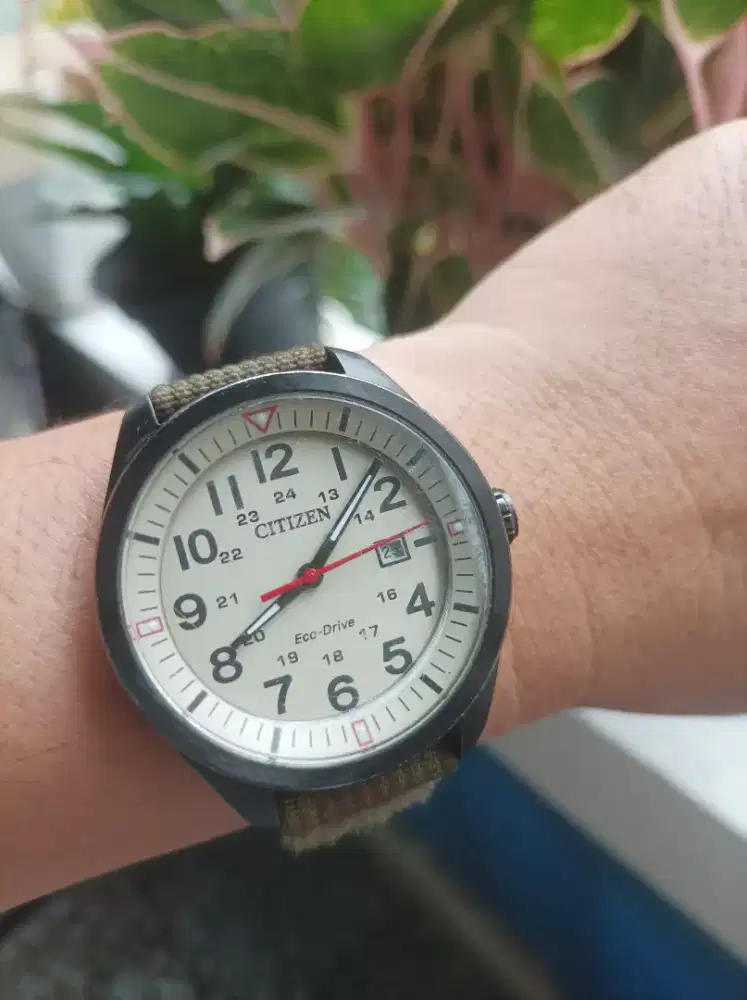 Citizen eco drive solar military