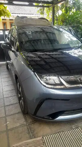 BYD Dolphin 2024 Listrik