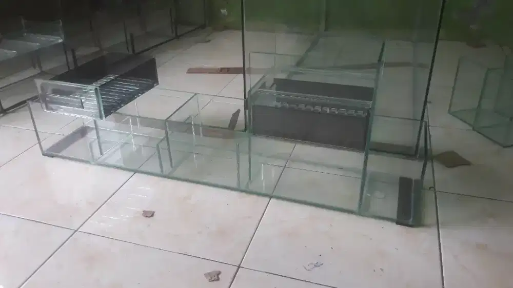 #ikanhias#viral#filteraquarium#ikanhias#talangfilter