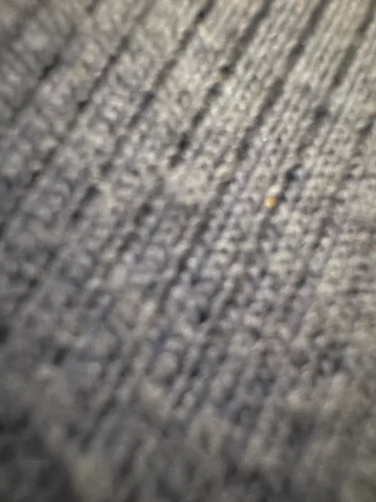 Staff Daycare Cikarang