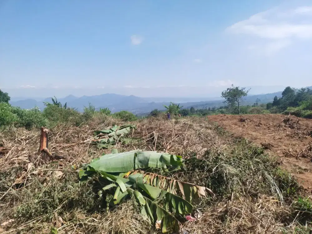 Dijual tanah Milik Sendiri dengan luas 420 Meter