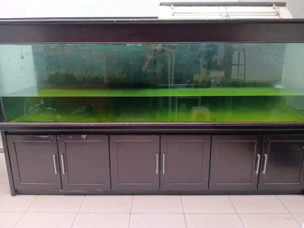 Jual aquarium besar megatank bekas