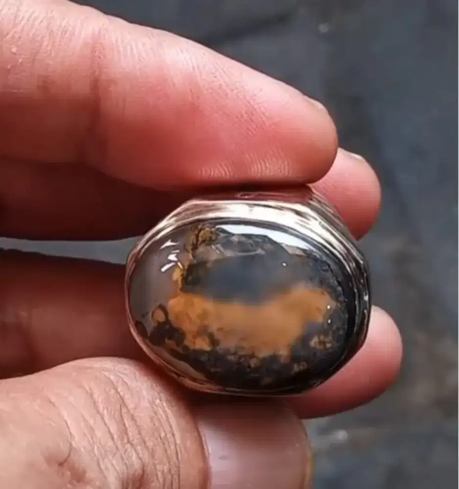 Batu Gambar Macan Air Spesial