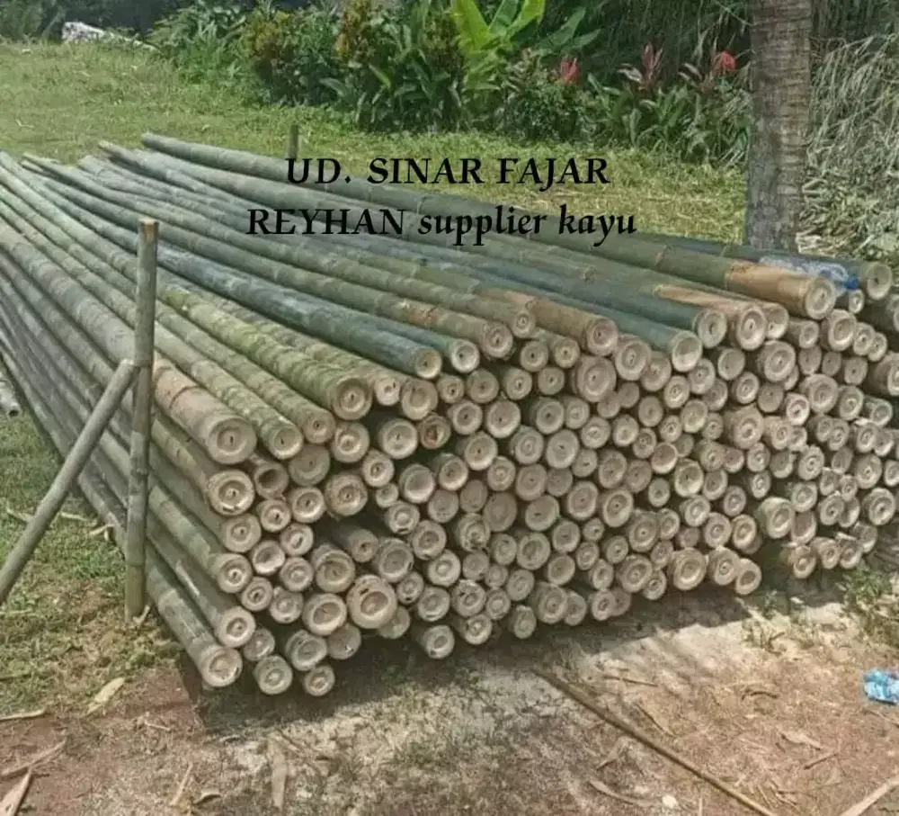 Bambu murah ukuran 6,7,8