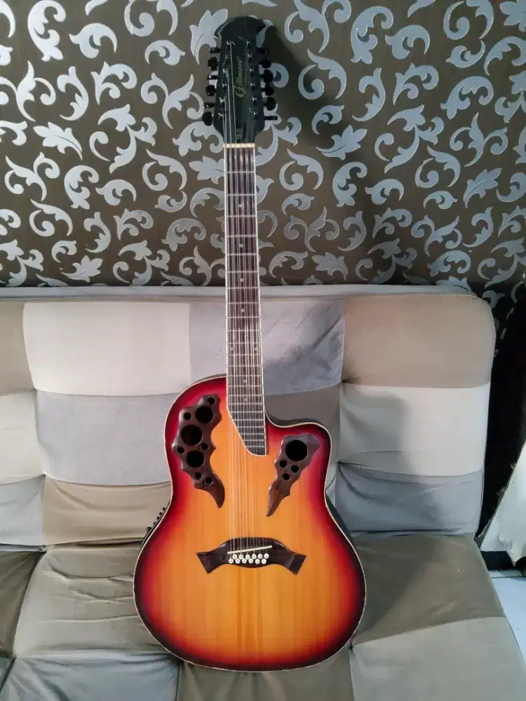 Gitar Akustik Elektrik 12 Strings