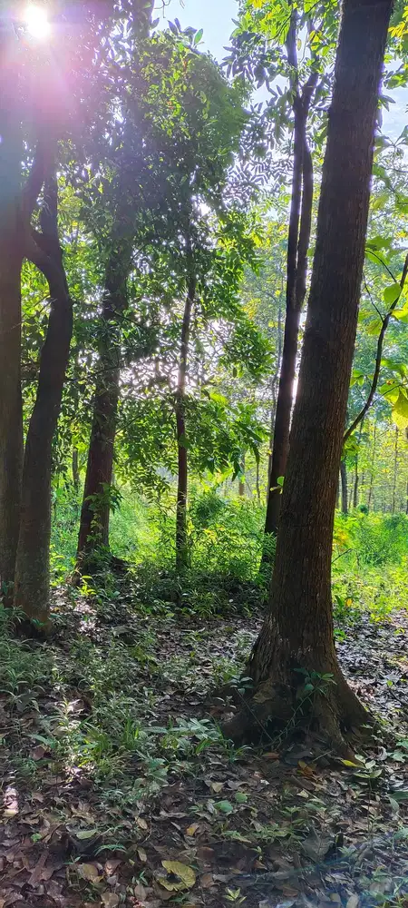 Jual Tanah Murah Kota Majalengka