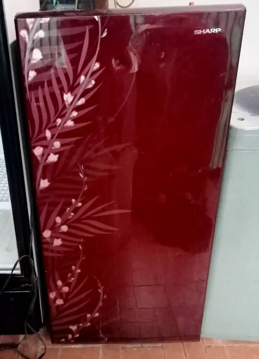 Kulkas 1 Pintu Merk SHARP