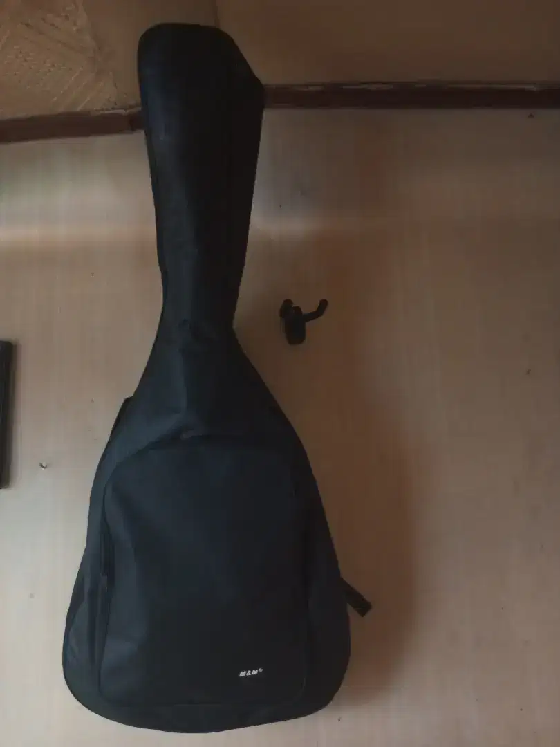 Guitar orca udah tanam besi