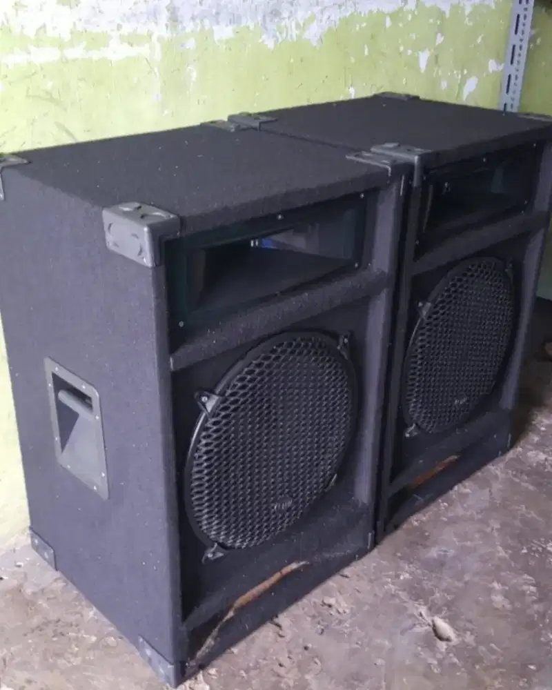 Salon pasif 15inc wofer peavey sepasang baru