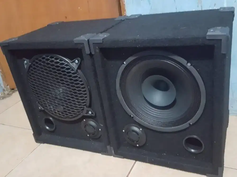 Salon pasif proton fulrange 12inc sepasang