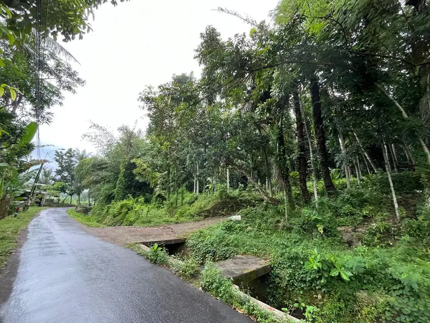 Tanah view sawah di Gunung Sari Lombok Barat