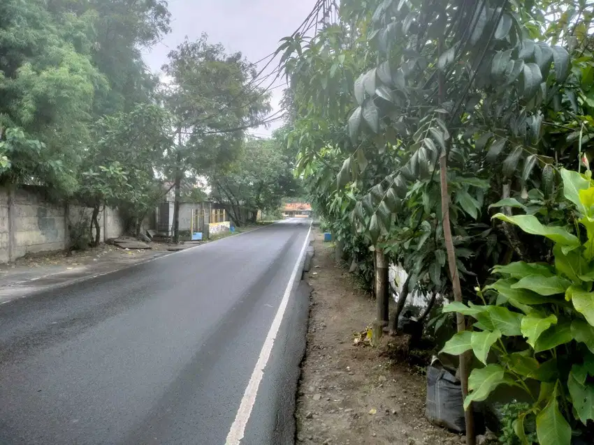 kavling Luas 1649 m2, SHM, Jl. Raya Kemuning, Jakarta Barat.