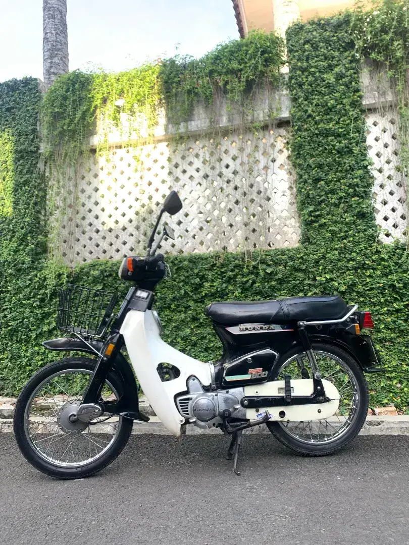 Supercub c800 1982