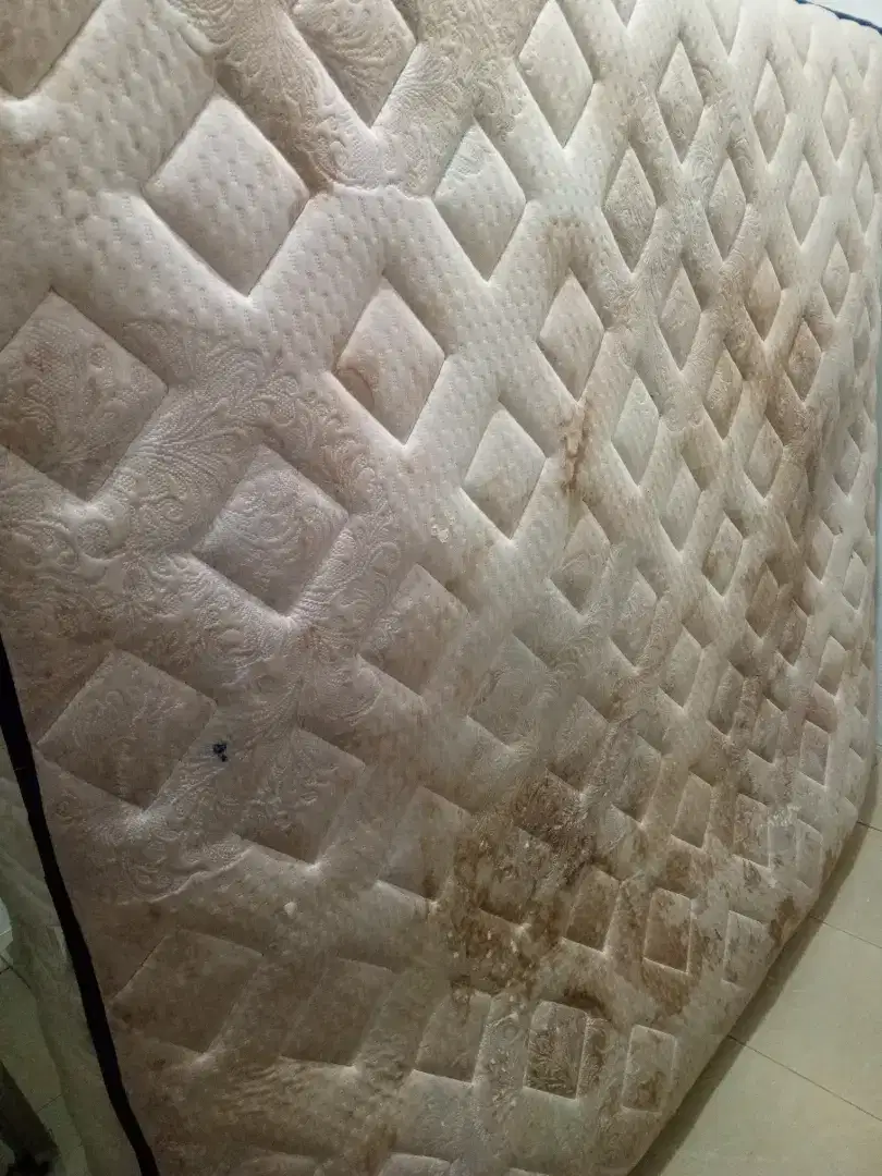 Jasa cuci kasur springbed sofa karpet jok mobil dll