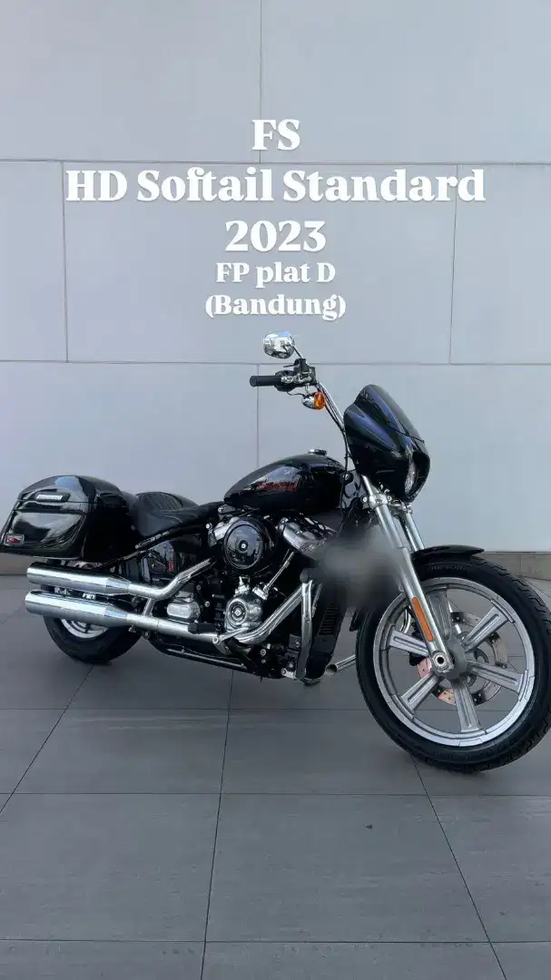Harley Davidson Softail Std 2023