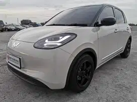 Wuling Binguo EV 2024 Coklat Listrik Life Time  Air EV 2025