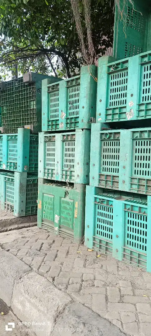 Container jumbo bekas