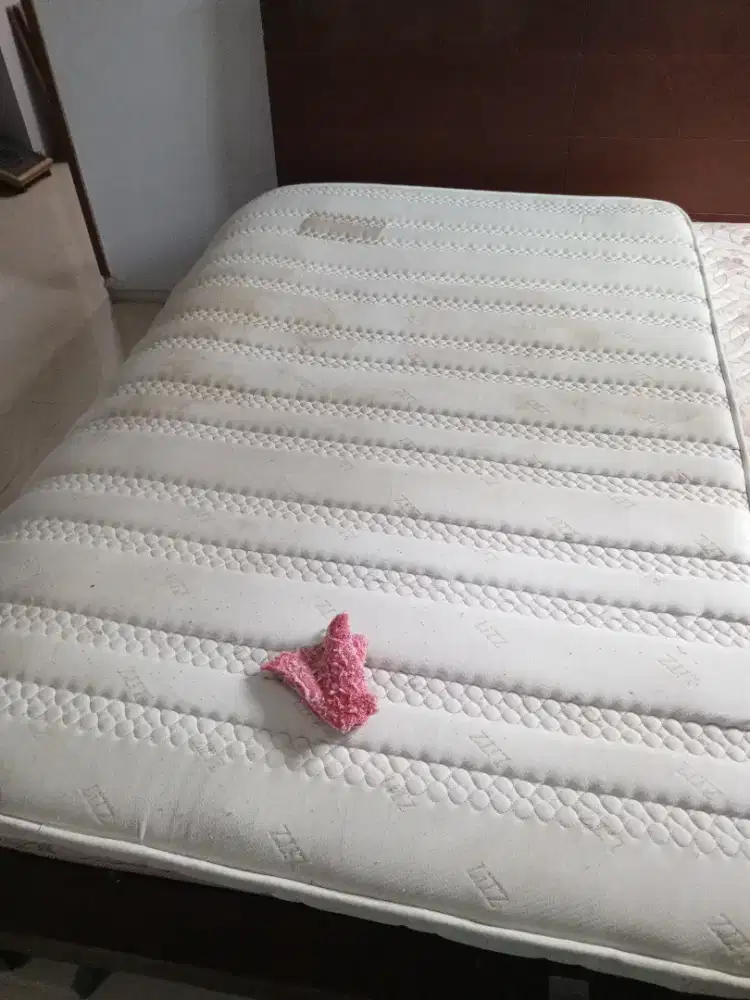 Jasa cuci kasur springbed sofa karpet jok mobil dll