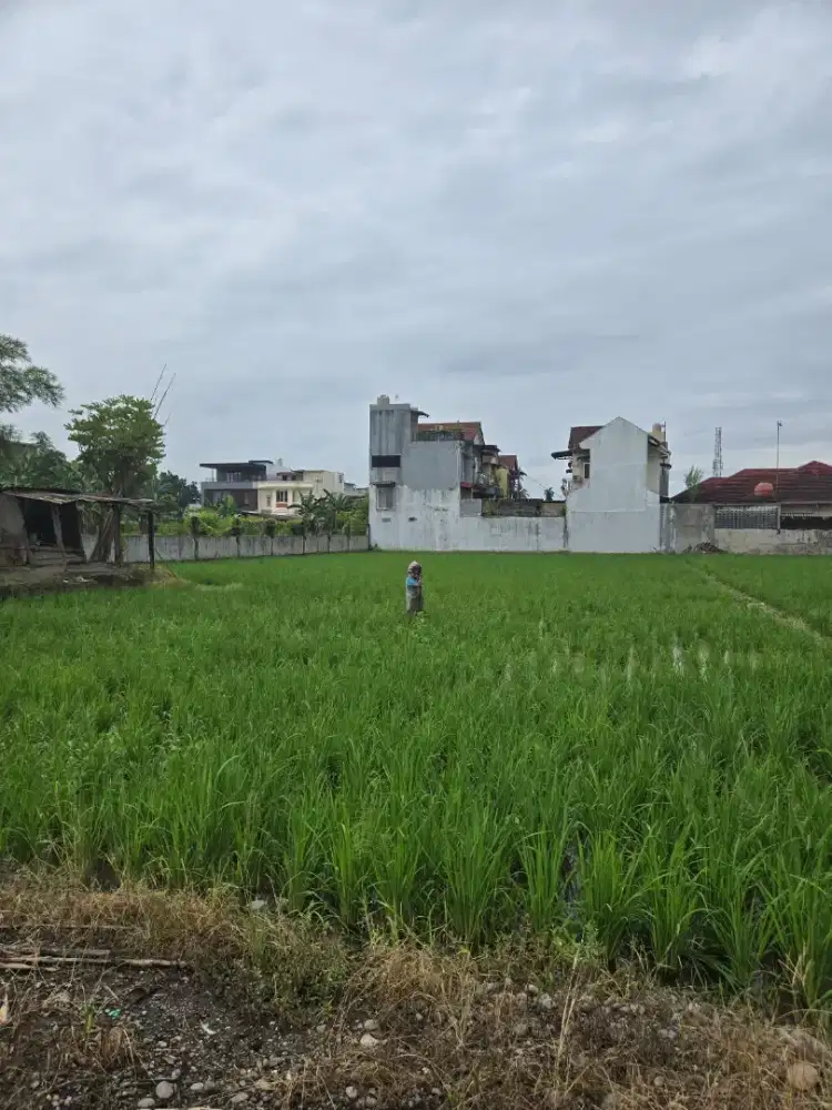 Tanah LANGKA bebas Banjir @kota MEDAN yg CANTIK buat kost/rumah MEWAH