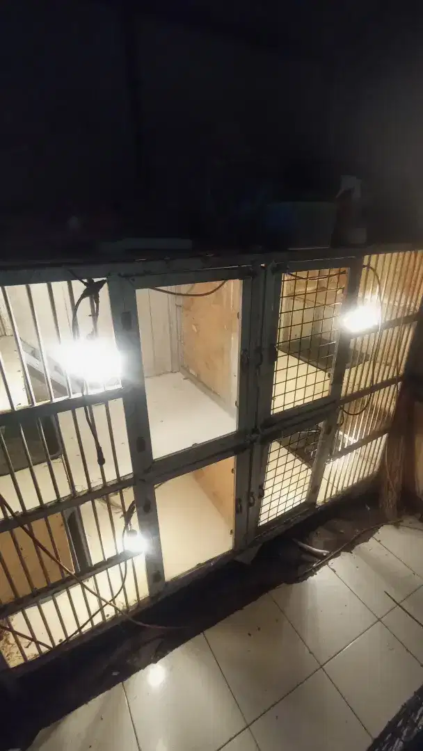 Kadang kucing 4 kamar plus lampu kuning free kucing