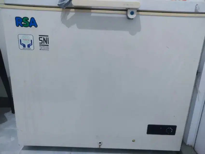 Freezer RSA 220L