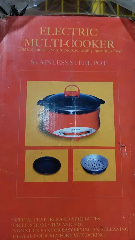 Aowa electric multi-cooker