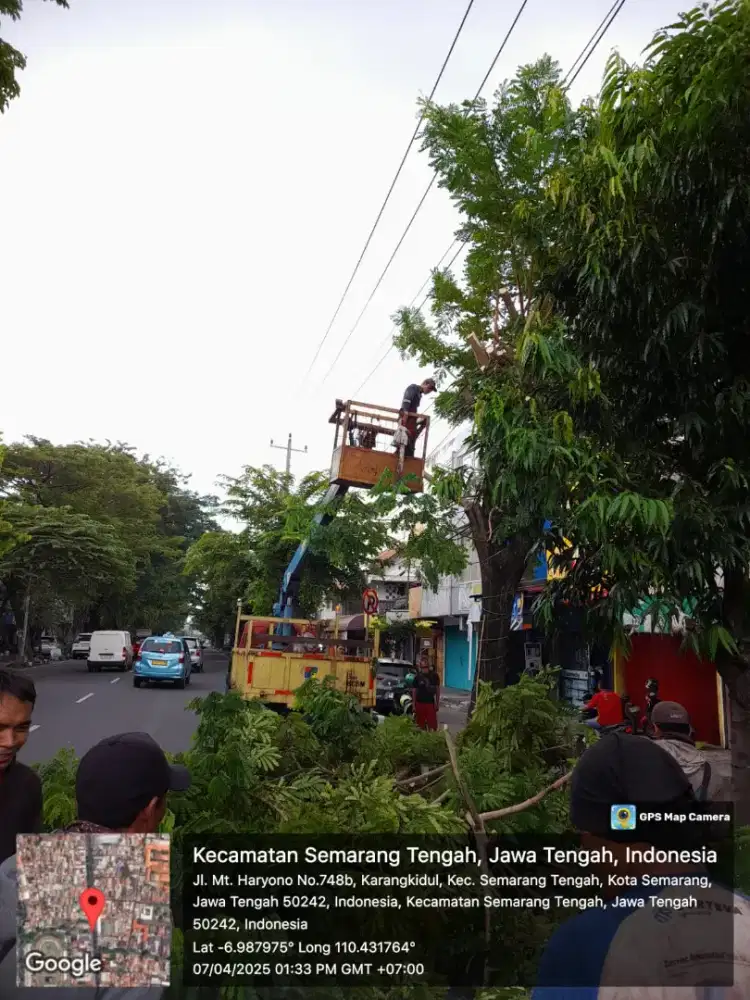 Rempel pohon jasa tebang Semarang kota