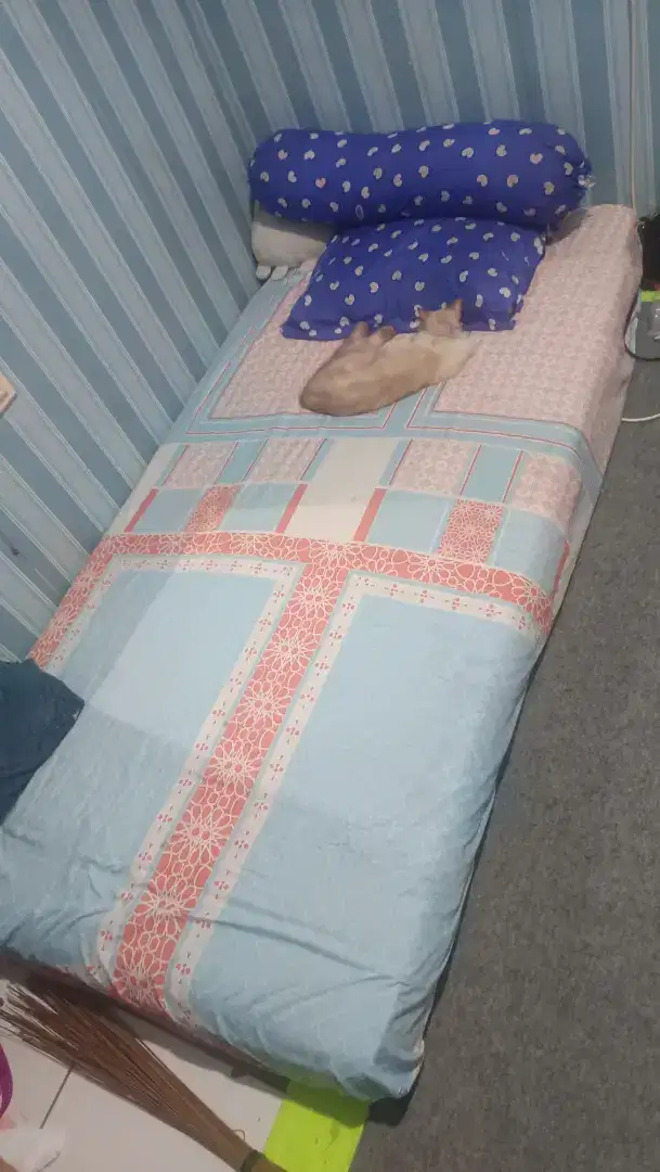 Springbed 100 x 200