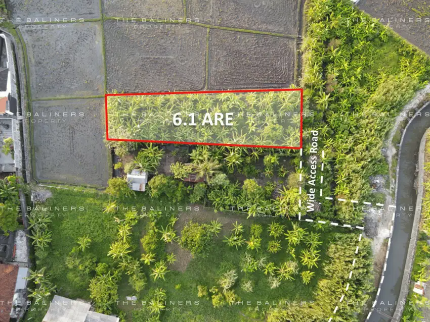 STRATEGIC LEASEHOLD LAND WITH RICE FIELD VIEW IN SEMINYAK